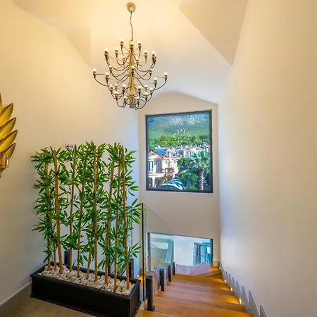 Dinyeper Oludeniz Фетхие