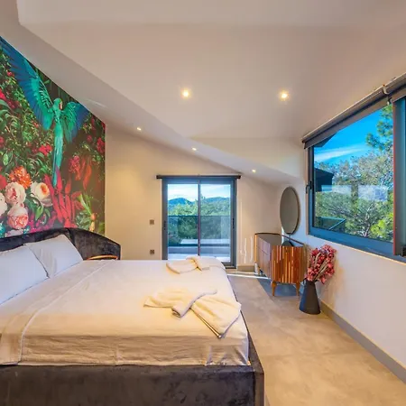 Dinyeper Oludeniz Villa