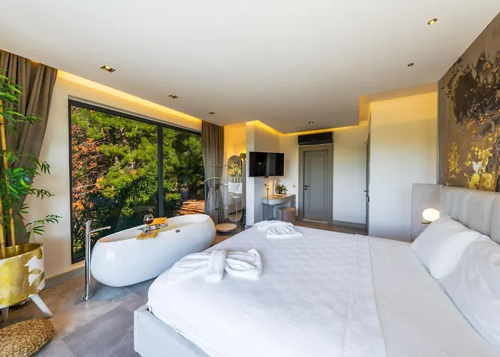 Dinyeper Oludeniz Vila *